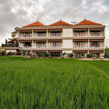 Paon Desa Ubud Exteriér fotografie